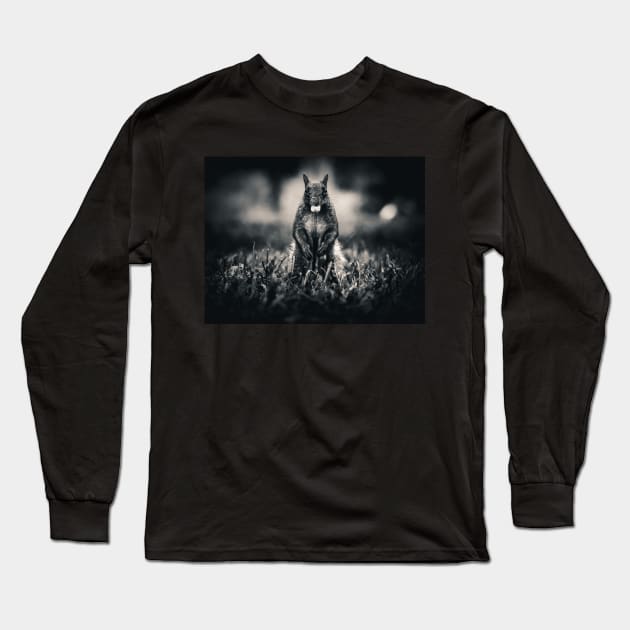 Squirrel Collecting Nuts Photograph Long Sleeve T-Shirt by love-fi